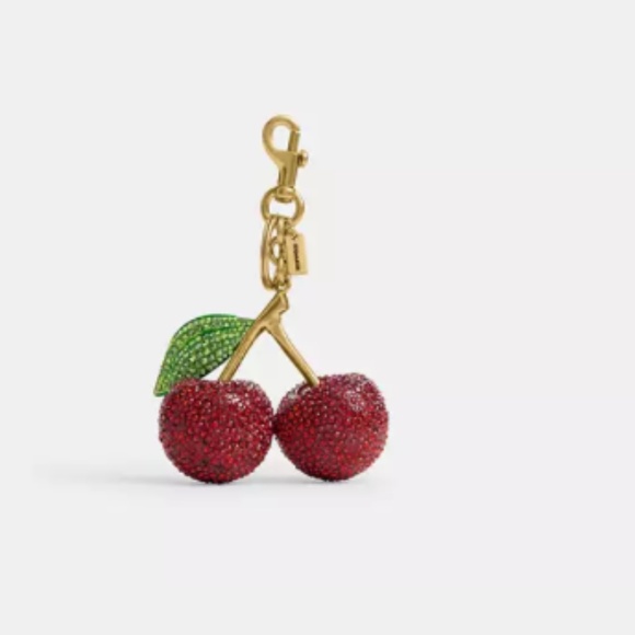 Coach Large Chrystal Cherry Charm - Picture 1 of 2